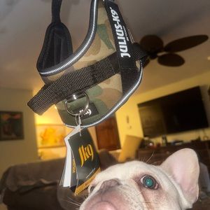 Julius-k9-camo size small/mini